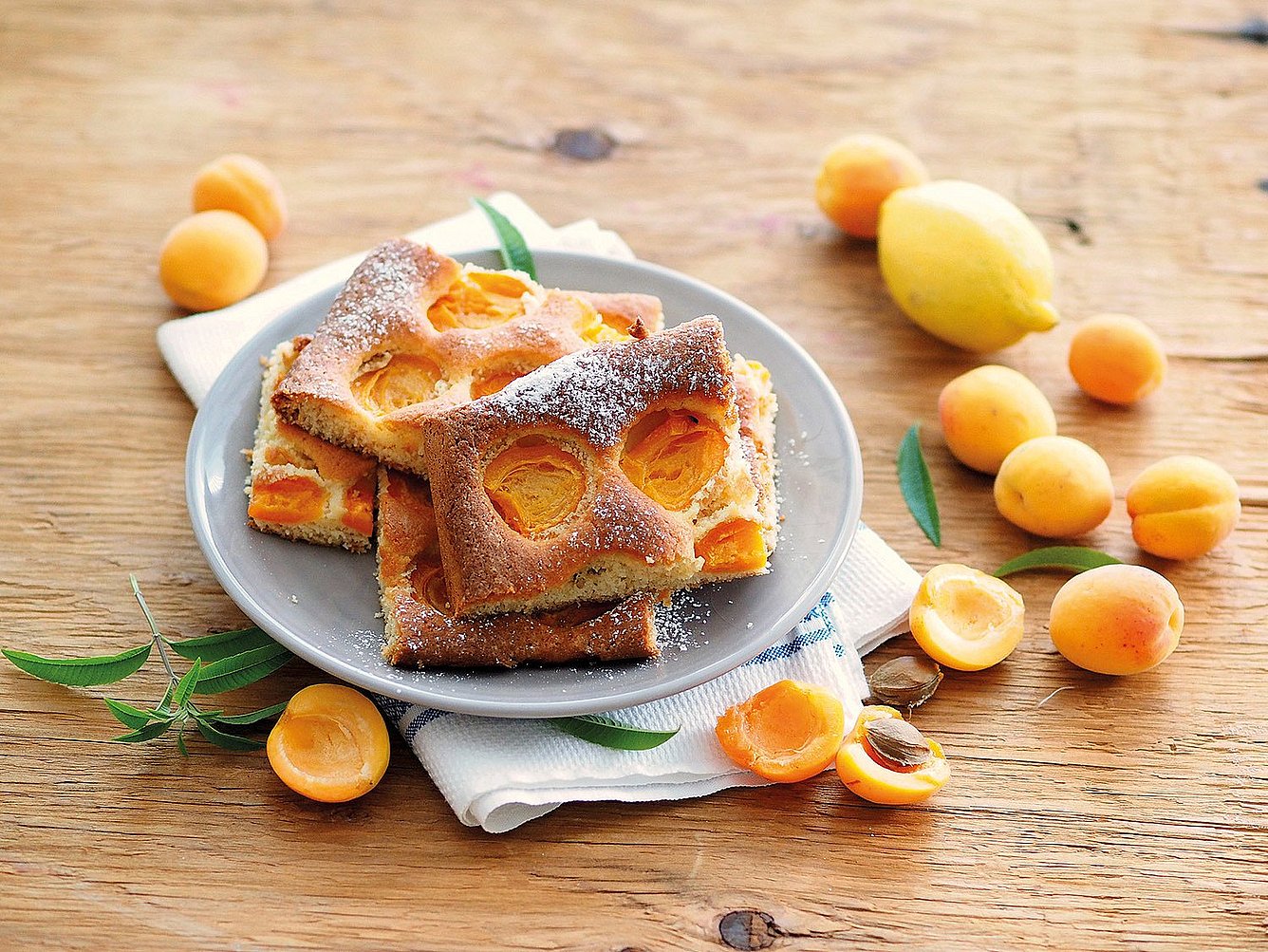 Marille - Süße Sommerfrüchtchen