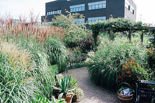 Ehrenurkunde für naturgerechtes Gärtnern De Hoge Weide in Utrecht