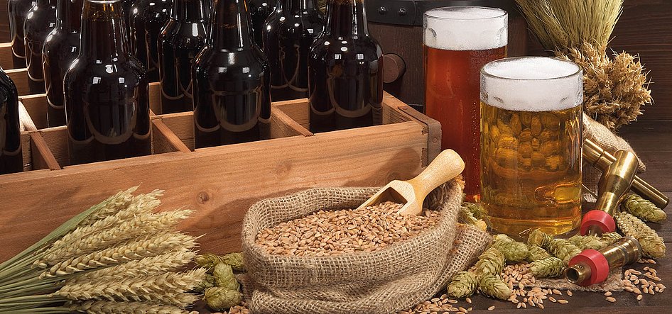 Zutaten für Bier