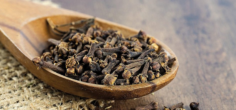 Gewürznelken Löffel