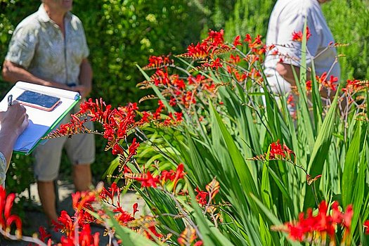Biodiversitäts Aufnahme